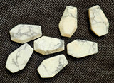 Howlite Crystal Coffins