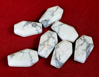 Howlite Crystal Coffins