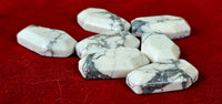 Howlite Crystal Coffins