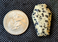 Dalmatian Jasper Mini Crystal Coffin Carving ⚰️