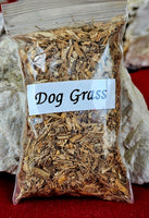 Fresh Cut & Dried Dog Grass aka Deer Tongue Herb🦌🌿🐕