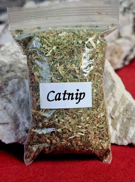 Fresh Cut & Dried Catnip Herb 🌿🐾🐈