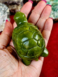 Nephrite Jade 'Grumpy' Crystal Turtle Carving 💚🐢✨