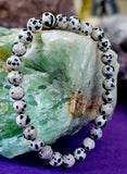 Dalmatian Jasper Crystal Bracelet 🖤📿🤍
