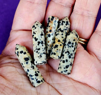 Mini Dalmatian Jasper Tower 🖤✨🤍