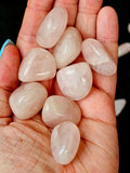 Rose Quartz Crystal Tumble ✨🩷🌹
