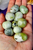 Lemon Jade Crystal Tumble 💛🍋💚