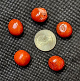 Rounded Red Jasper Crystal Tumble ✨♥️🍒