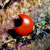 Mini Red Jasper Crystal Crescent Moon Carving 🌙🌘🌛