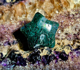 Mini Moss Agate Crystal Star Carving ✨💫🌠