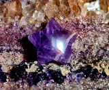 Mini Chevron Amethyst Crystal Star Carving ✨💫🌠