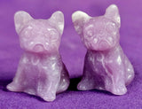 Mini Assorted Crystal French Bulldog Figurine 🐕🐾🦴
