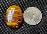 MD. Assorted Shaped Tigers Eye Crystal Cabochon 📿✨🐅👁️