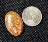Fossilized Coral Oval Shaped Crystal Cabochon 🐚📿🪸