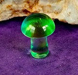 SM. Glass Blown Mushroom 😍🍄🌈💚🩵