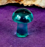 SM. Glass Blown Mushroom 😍🍄🌈💚🩵