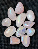 Aura Coated Rose Quartz Crystal Tumble 🌸🌷🌹🌈