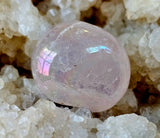 Aura Coated Rose Quartz Crystal Tumble 🌸🌷🌹🌈