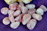 Rose Quartz Crystal Tumble 🌸🌷🩷🌹