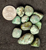 African Turquoise Crystal Tumble ✨🤩💎💚🩵💙