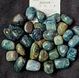 Apatite Crystal Tumble ✨💠💙✨