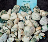 Tree Agate Crystal Tumble ✨🤍💚🍃🌳