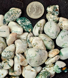 Tree Agate Crystal Tumble ✨🤍💚🍃🌳