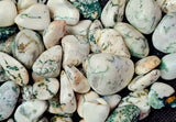 Tree Agate Crystal Tumble ✨🤍💚🍃🌳