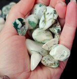 Tree Agate Crystal Tumble ✨🤍💚🍃🌳