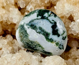 Tree Agate Crystal Tumble ✨🤍💚🍃🌳