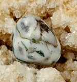 Tree Agate Crystal Tumble ✨🤍💚🍃🌳