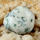 Tree Agate Crystal Tumble ✨🤍💚🍃🌳