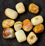 Banded Green Onyx Crystal Tumble 🍂🤎✨💚🍏