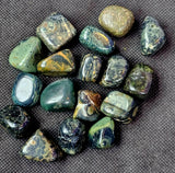 Kambaba Jasper Crystal Tumble 💚✨🖤