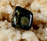 Kambaba Jasper Crystal Tumble 💚✨🖤