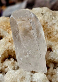 Raw Clear Quartz Crystal Point ✨🤩💎