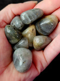 Labradorite Crystal Tumble ✨💎✨