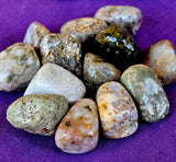 Ocean Jasper Crystal Tumble 🪸🐚🌊