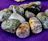 Ocean Jasper Crystal Tumble 🪸🐚🌊