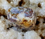 Ocean Jasper Crystal Tumble 🪸🐚🌊