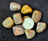 Crazy Lace Agate Crystal Tumble 💛😵‍💫🤪✨🩶