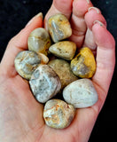Crazy Lace Agate Crystal Tumble 💛😵‍💫🤪✨🩶