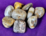 Crazy Lace Agate Crystal Tumble 💛😵‍💫🤪✨🩶