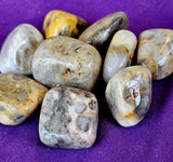 Crazy Lace Agate Crystal Tumble 💛😵‍💫🤪✨🩶