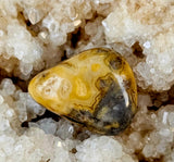 Crazy Lace Agate Crystal Tumble 💛😵‍💫🤪✨🩶