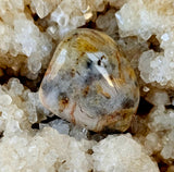 Crazy Lace Agate Crystal Tumble 💛😵‍💫🤪✨🩶