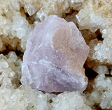 Raw Kunzite Crystal Specimen ✨🤩🌸🩷