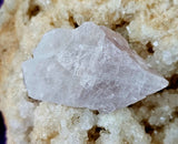 Raw Kunzite Crystal Specimen ✨🤩🌸🩷