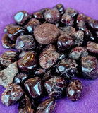 Mini Garnet Polished Crystal Tumble ✨❤️✨
