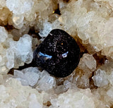 Mini Garnet Polished Crystal Tumble ✨❤️✨